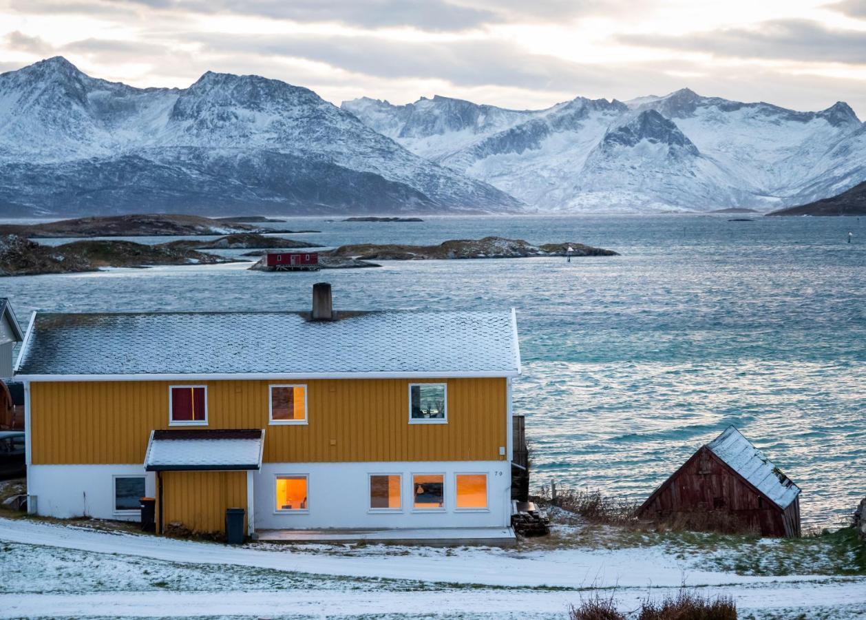 Sommaroya Beach Apartment Tromsø Buitenkant foto